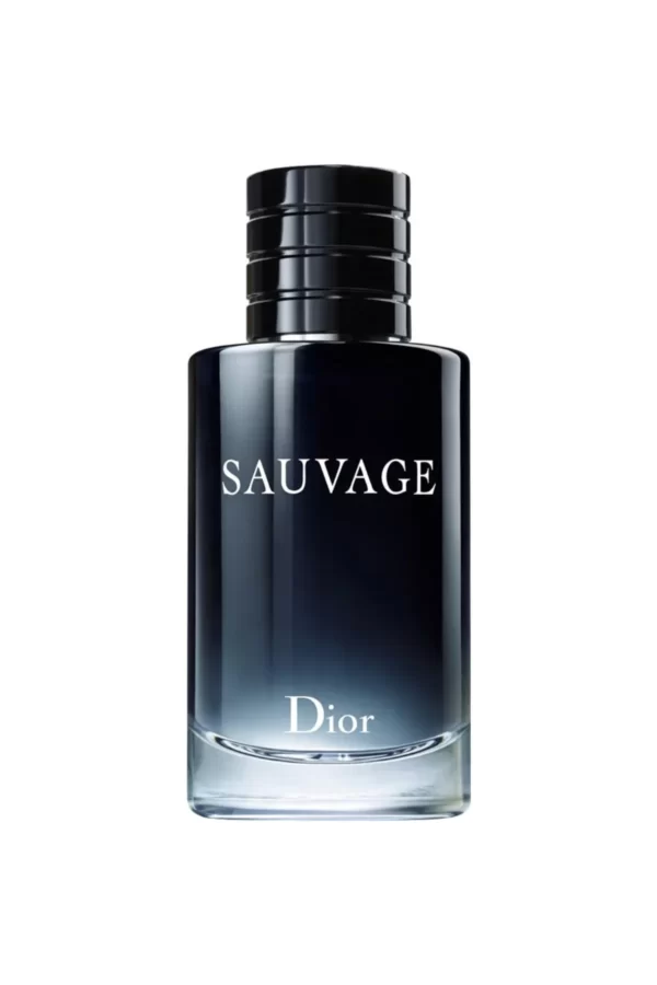 ادکلن دیور ساواجDior C. Sauvage 100ml